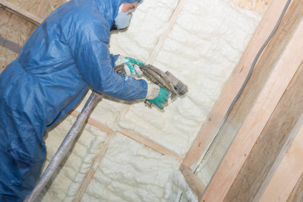 Best Crawl Space Insulation  in Prichard, AL